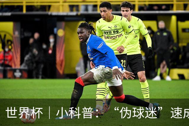 世界杯｜小科普：“伪球迷”速成手册